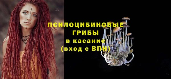 PSILOCYBIN Няндома