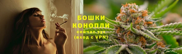 PSILOCYBIN Няндома