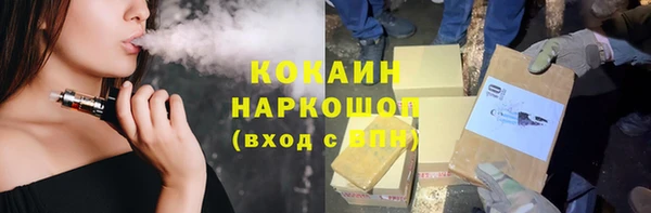 PSILOCYBIN Няндома