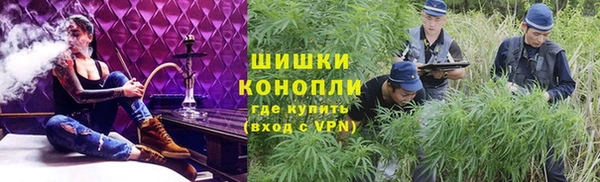 PSILOCYBIN Няндома