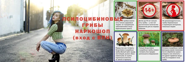 МДПВ Новодвинск